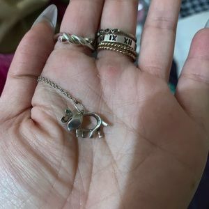 Tiffany and co Save the Wild Elephant 🐘  Charm Pendant
